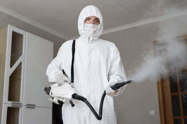 Why You Should Choose Our Mold Remediation Services in American Canyon, CA